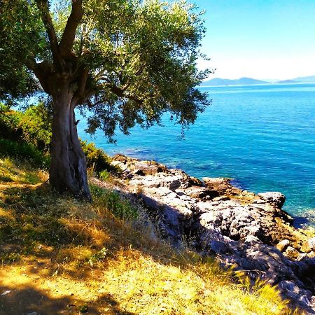 Villa Leonidas Greecefiloxenia Lefokastro Luaran gambar