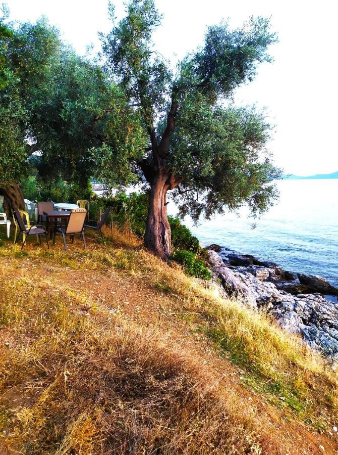 Villa Leonidas Greecefiloxenia Lefokastro Luaran gambar