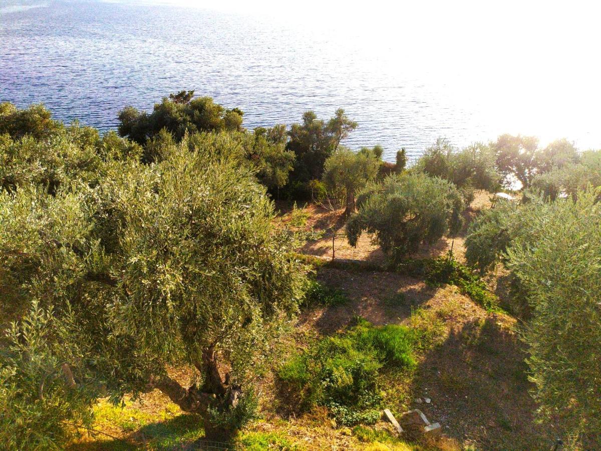 Villa Leonidas Greecefiloxenia Lefokastro Luaran gambar