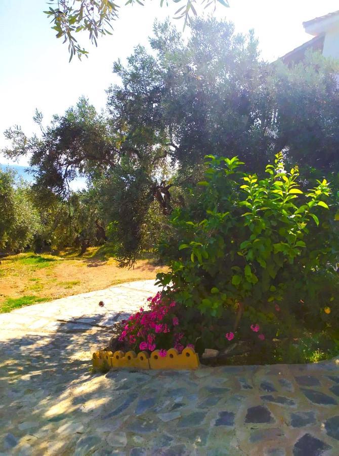 Villa Leonidas Greecefiloxenia Lefokastro Luaran gambar